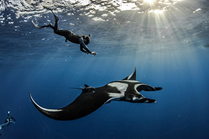 Citizen Science - Dive with a Purpose!