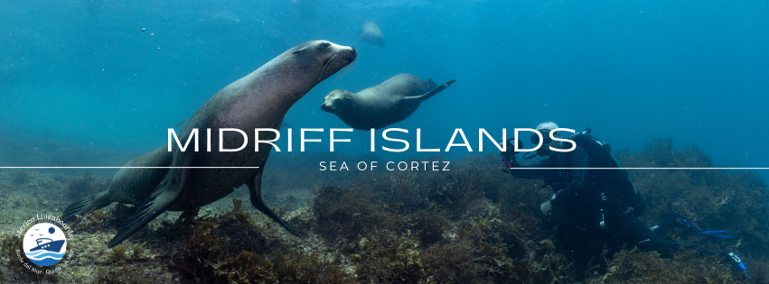 Sea of Cortez - Midriff Islands