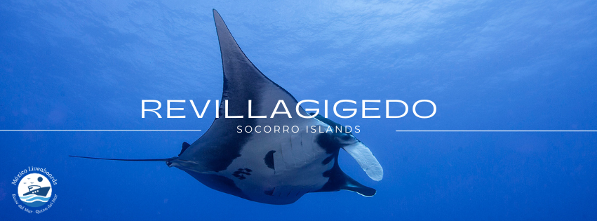 Revillagigedo - Socorro Islands