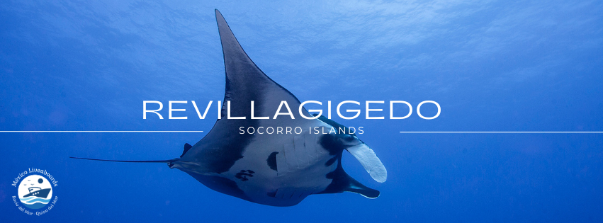 Socorro Islands