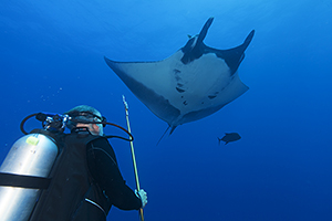 Manta Ray Expeditions