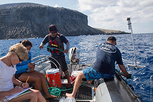 Citizen Science Shark Expeditions