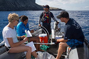 Citizen Science Shark Expeditions