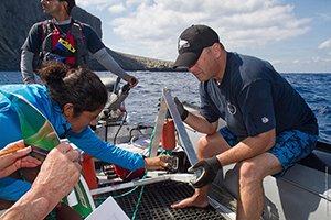 Citizen Science Shark Expeditions