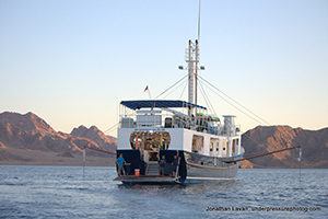 Diving the Midriff Islands