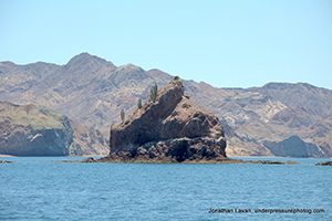 Diving the Midriff Islands