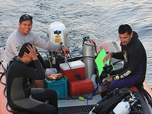 Diving the Midriff Islands