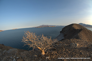 Midriff Islands with JOnathan Lavan