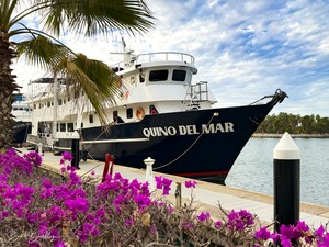 Quino del Mar updated images March 2026