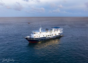 Quino del Mar updated images March 2026