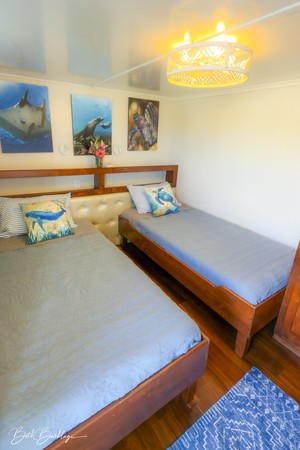 Quino del Mar updated images March 2026