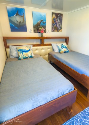 Quino del Mar updated images March 2026