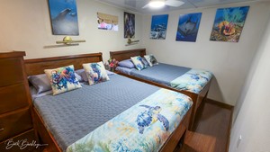 Quino del Mar updated images March 2026