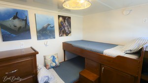 Quino del Mar updated images March 2026