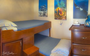 Quino del Mar updated images March 2026