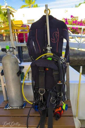 Quino del Mar updated images March 2026