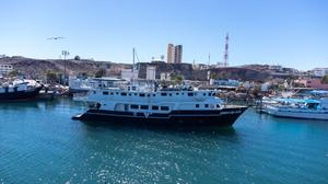 Quino del Mar - Port