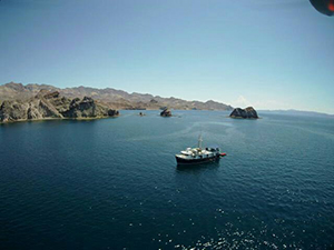 Quino El Guardian - Explore Baja