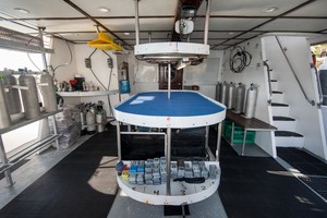 Rocio del Mar updated images March 2026