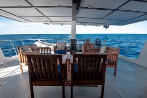 Rocio del Mar updated images March 2026