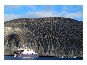 Diving the Socorro Islands