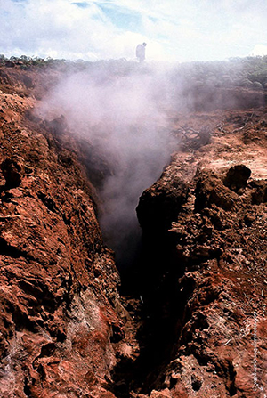 Diving the Socorro Islands