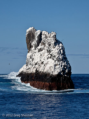 Diving the Socorro Islands