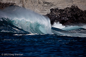 Diving the Socorro Islands