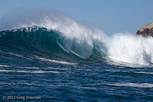 Diving the Socorro Islands