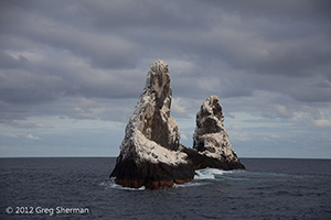 Diving the Socorro Islands