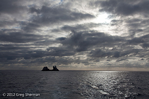 Diving the Socorro Islands