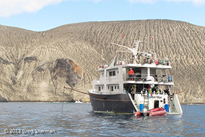 Diving the Socorro Islands