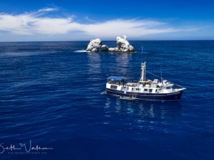 Diving the Socorro Islands