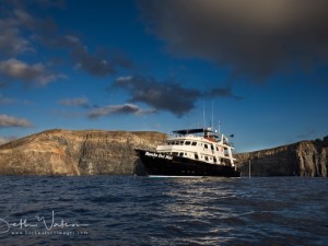 Diving the Socorro Islands