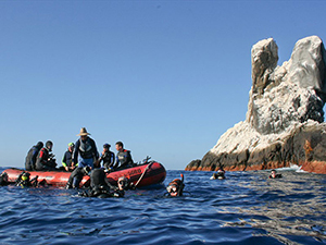 Diving the Socorro Islands