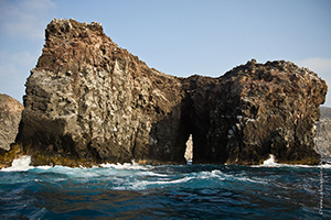 Diving the Socorro Islands