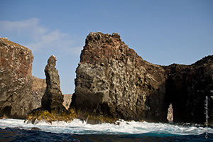 Diving the Socorro Islands