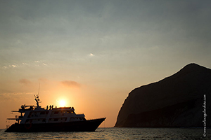 Diving the Socorro Islands