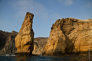 Diving the Socorro Islands