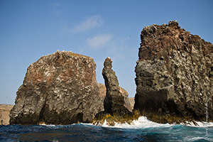 Diving the Socorro Islands