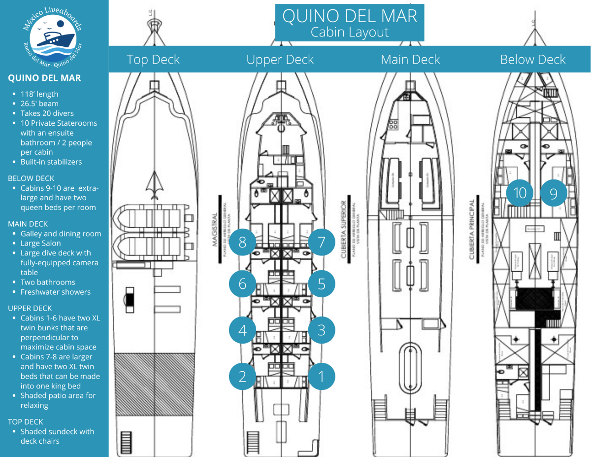 The Quino del Mar ship layout