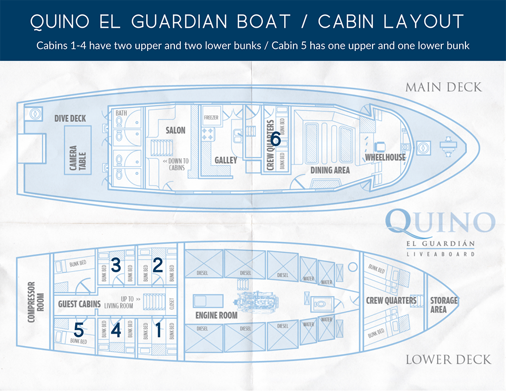 The Quino El Guardian ship layout