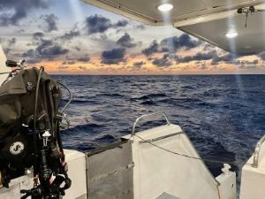 Gregor C Testamonial