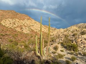 Wendy Simon Testamonial